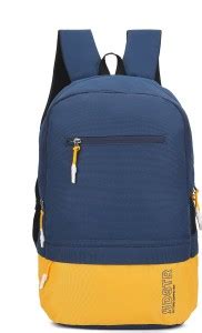 Roadster Large Unisex Casual Travel / college / office 33 L Backpack ...