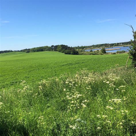 THE BEST Skibby Art Galleries (Updated 2025) - Tripadvisor