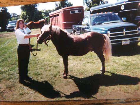 Sarah Melissa Rowell : Niagara County Obituaries