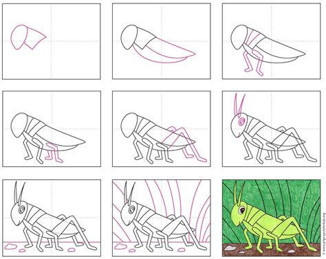 Easy How to Draw a Grasshopper Tutorial and Grasshopper Coloring Page ...