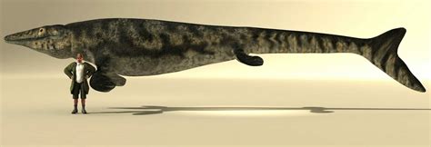 Mosasaurus Comparison at Mary Loomis blog