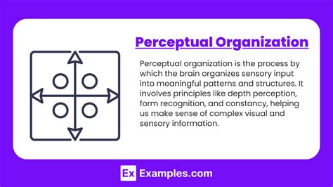 Perception Examples 的图像结果