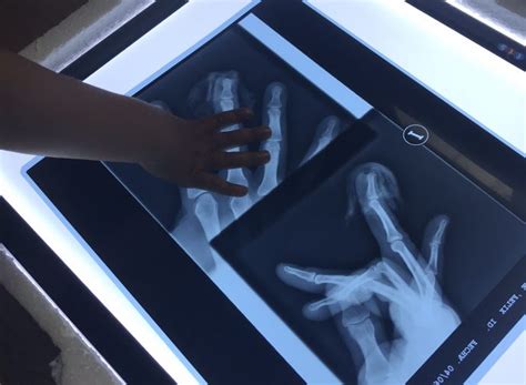 Servicios - Centro Educación Infantil Don Gato