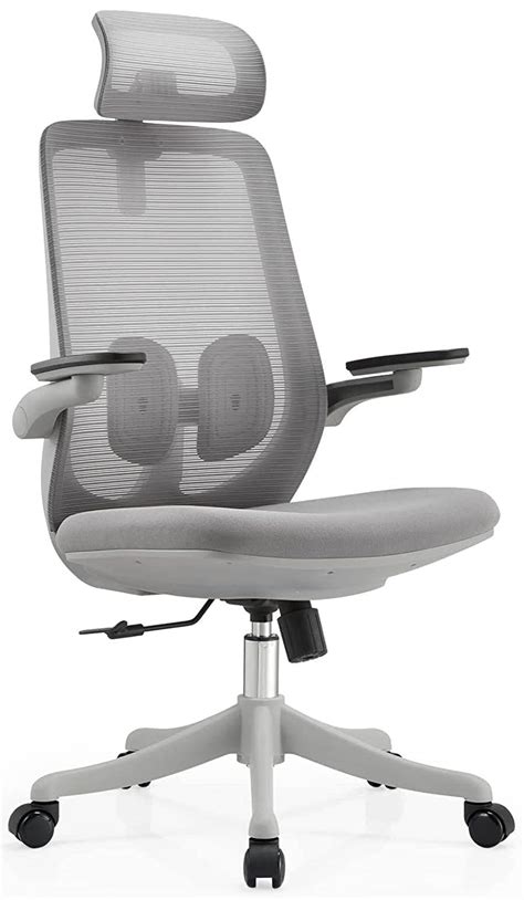 Aesthesis Akai Office Chair for Work from Home, High Back Computer ...
