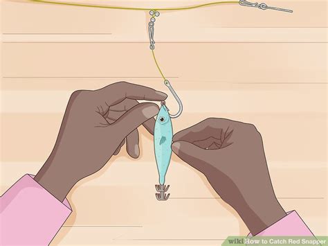 Image result for How to Catch Red Snapper