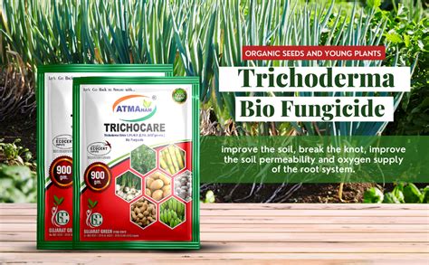 Atmanam Certified Organic Bio Fungicide for Seeds and Young Plants ...