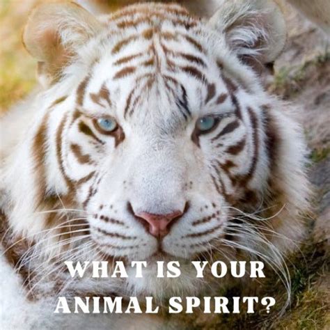 What is Your Animal Spirit? Digital Audio File of Your Animal Spirit ...