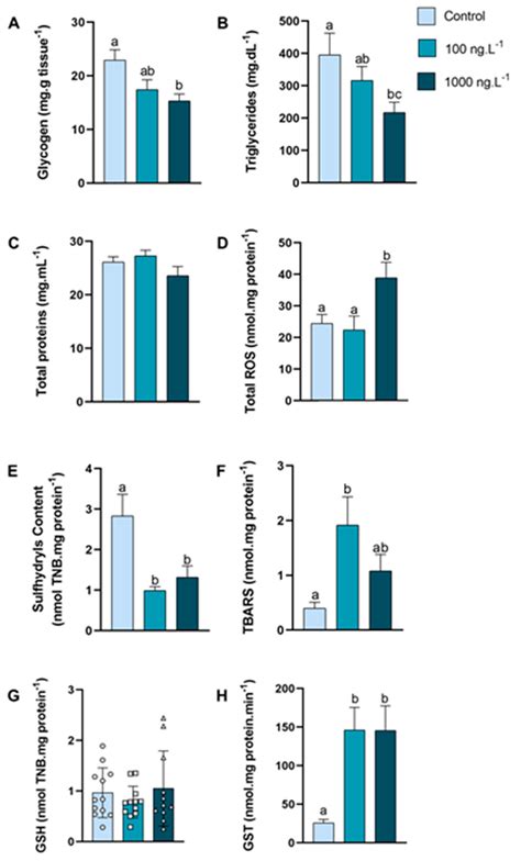 Impact of Tributyltin (TBT) on Energy Metabolism and Redox Homeostasis ...