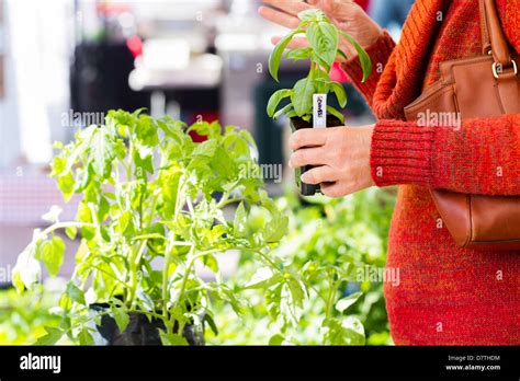 Image result for Local Farmers