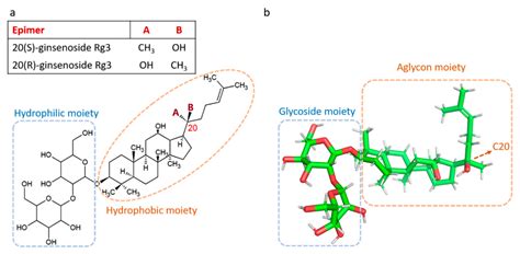Anti-Angiogenic Properties of Ginsenoside Rg3