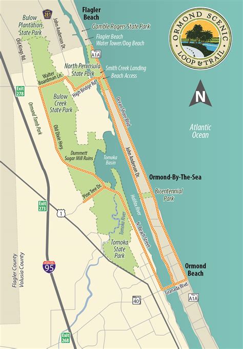 The Loop | Ormond Scenic Loop & Trail Daytona Beach