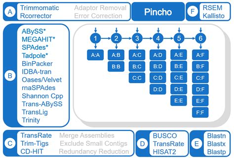 Pincho: A Modular Approach to High Quality De Novo Transcriptomics