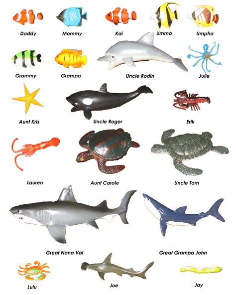Sea Animals List With Pictures at Adolph Sheryl blog