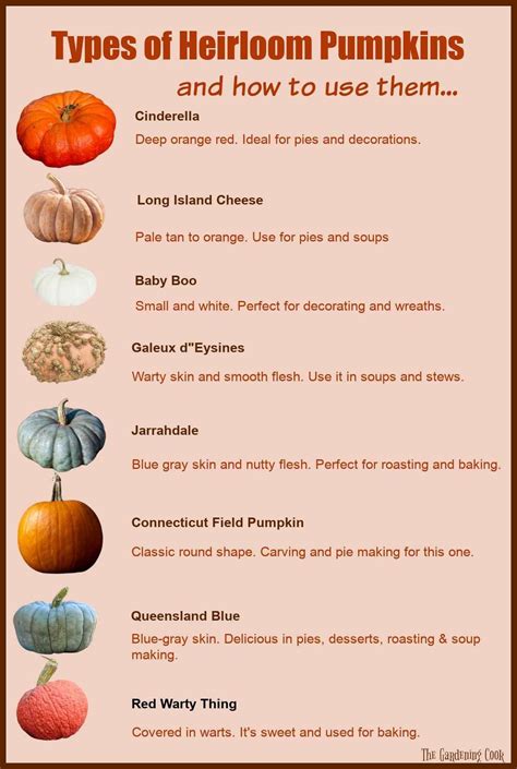 Uncover the Magic of Heirloom Pumpkins: Try These Unique Varieties Today