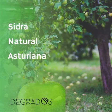 Sidra Natural de Asturias: Types of cider - Liquor Store