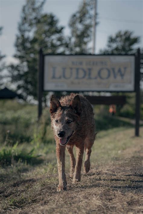 Slideshow: Pet Sematary: Bloodlines First-Look Photos and Poster