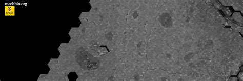 Researchers Create 'Google Maps' For the Human Body - Health & Sports News