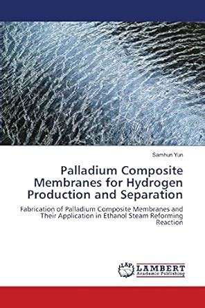 Buy Palladium Composite Membranes for Hydrogen Production and ...