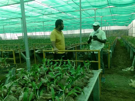 Customer_review : Plant Biotech, Floriculture & Horticulture