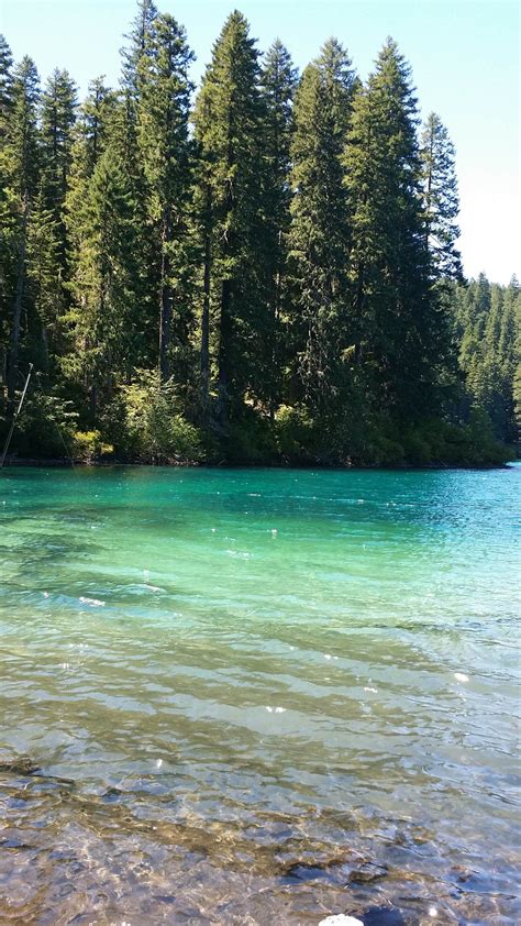 Coldwater Cove Campground Camping | The Dyrt