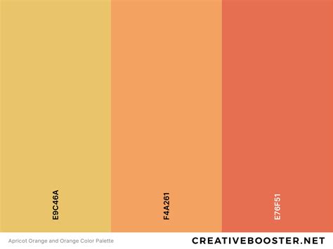 25+ Best Colors That Go With Orange (Color Palettes) – CreativeBooster