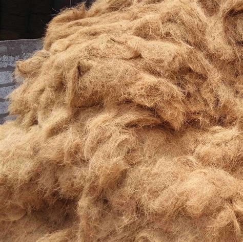 Coir Fiber