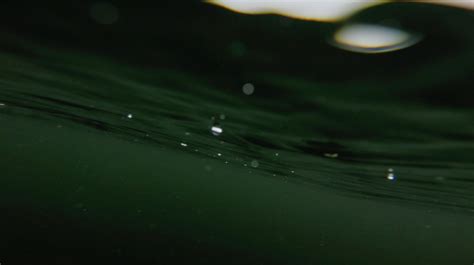 Parking Reservation Request | Fresh Meadows Apartments