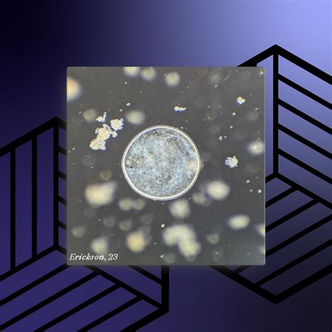 Image result for JavaScript Draw Bubble in Canvas