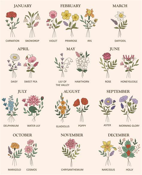 Birth Month Flower Bouquet Set-birth Month Flowers Png-birthmonth ...