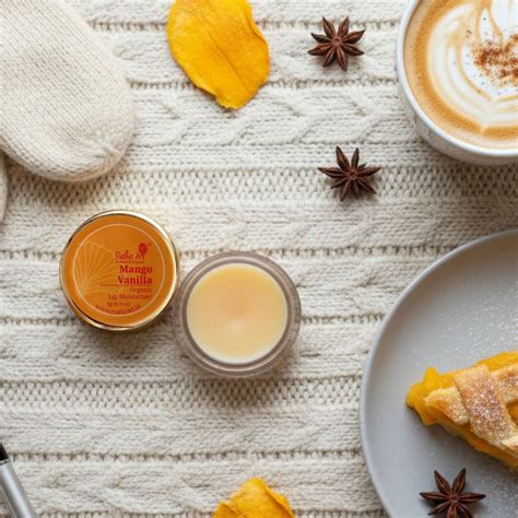 Mango Vanilla Lip Moisturizer | Natural Lip Balm for Dry, Chapped Lips ...