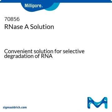 RNase A Solution, for RNA degradation Sigma-Aldrich