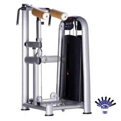 Image result for Arm Curl Machine