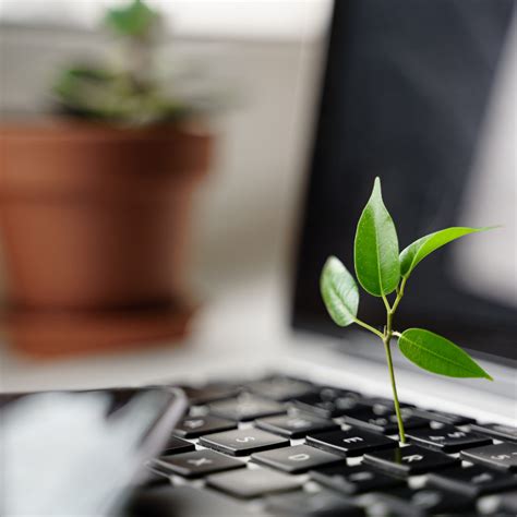 Key Master 的图像结果