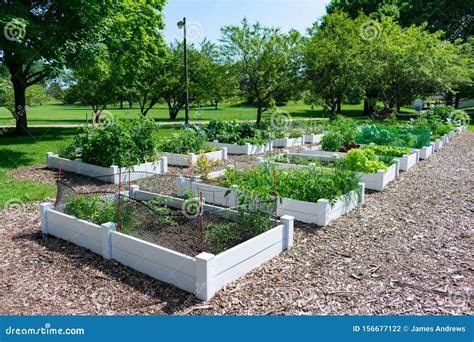 Planters at a Community Garden in a Park in Edgewater Chicago Stock ...