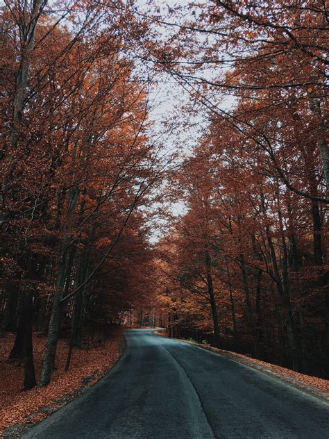 Fall Running 的图像结果