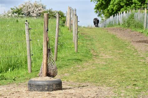 Enrichment Masterclass & Track System Tour w/ Rosca Horsemanship at ...