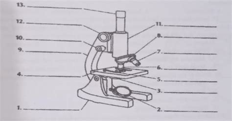 Image result for Compound Microscope with Label