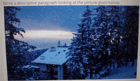 Write a descriptive paragraph looking at the picture given below ...