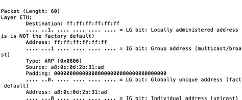 Python Sniffer Hack 的图像结果