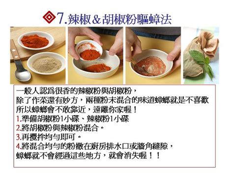 Image result for Simple Reference Example