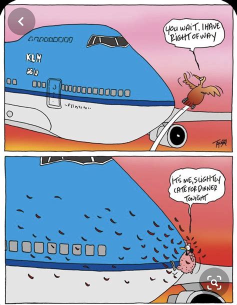 Pin by Patricia Del Amo on Reír... :) in 2023 | Flight attendant humor, Aviation humor, Airline ...