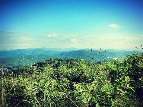 MAX PATCH (2025) All You Need to Know BEFORE You Go (with Photos ...