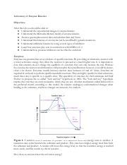 Image result for Enzyme Kinetics Lab
