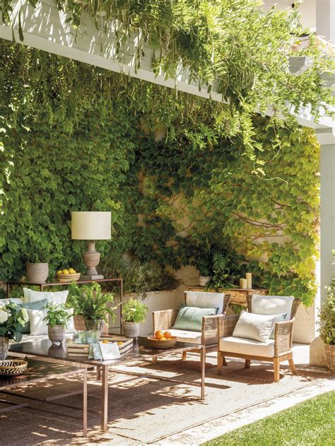 Enredaderas y plantas trepadoras para porches y terrazas