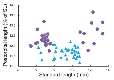 Description of Stolephorus horizon n. sp. from Fiji and Tonga, and ...