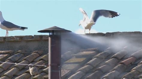 'We have a pope' | Exact moment white smoke pours from Sistine Chapel ...