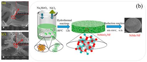 Morphology-Engineered NiMo Alloy on Nickel Foam for Enhanced Hydrogen ...
