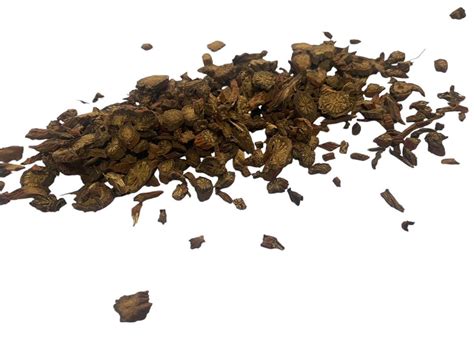 Buy Red Sage Dried Cut Herb & Dried Cut Root Dried Powdered Root ...