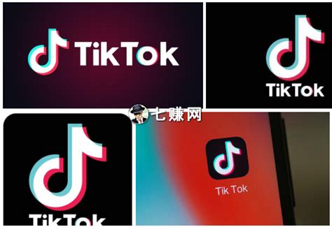 【抖音国际版Tik Tok新媒体1000集】目前B站最完整的Tik Tok新媒体运营教程，包含所有Tik Tok营技巧！这还没人看，我不更了 ...