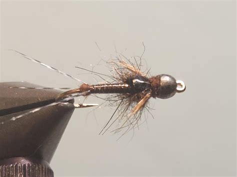 Simple Nymph Patterns Mayfly 的图像结果
